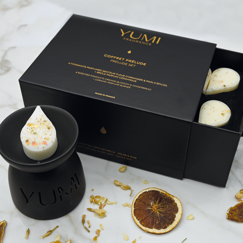 Coffret 4 fondants parfumés et mini brûle parfum - PRELUDE
